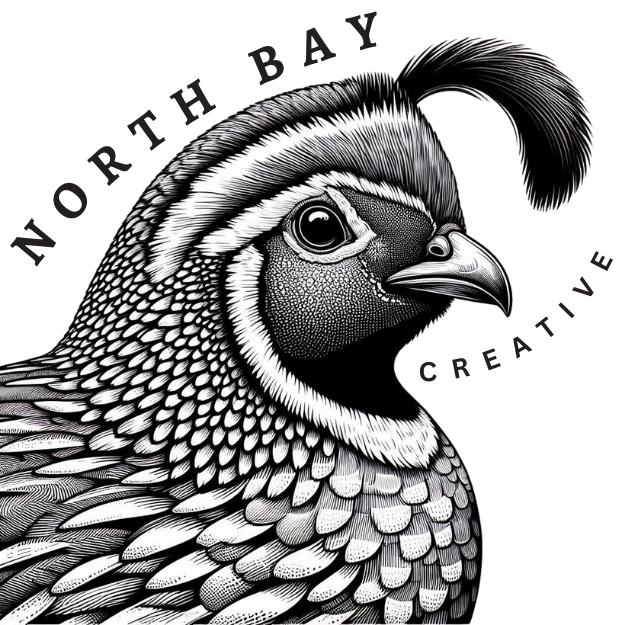 Video Websites AI Digital Marketing >> North Bay Creative